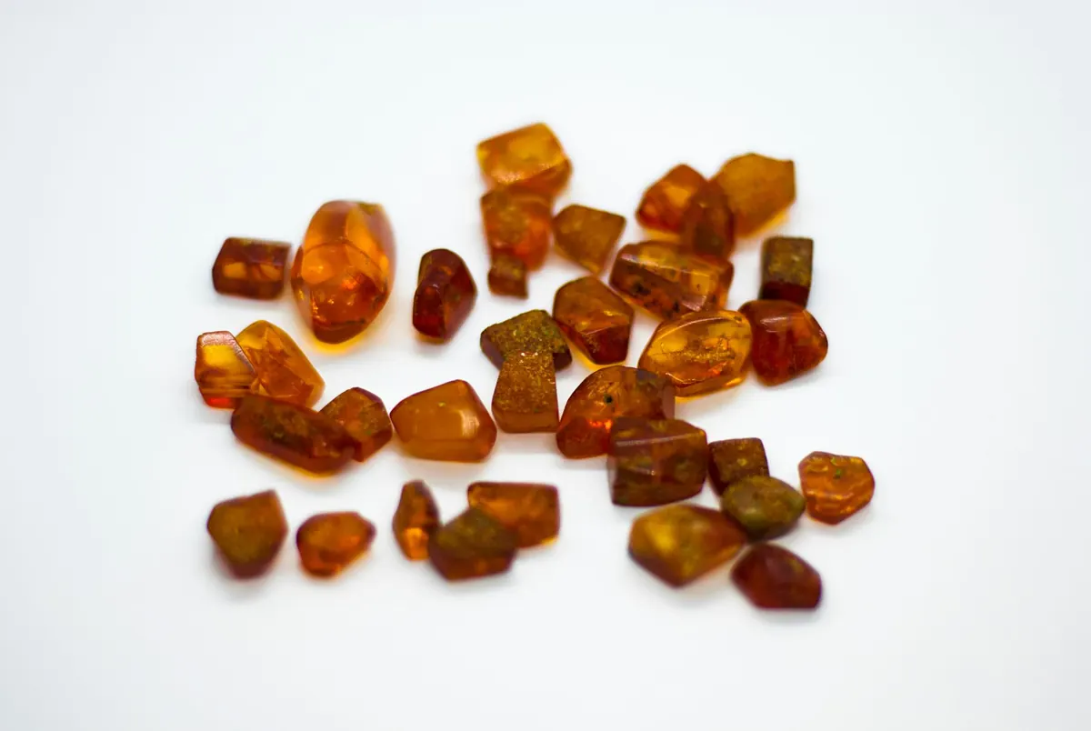 Baltic Amber vs Dominican Amber: Key Differences for Collectors